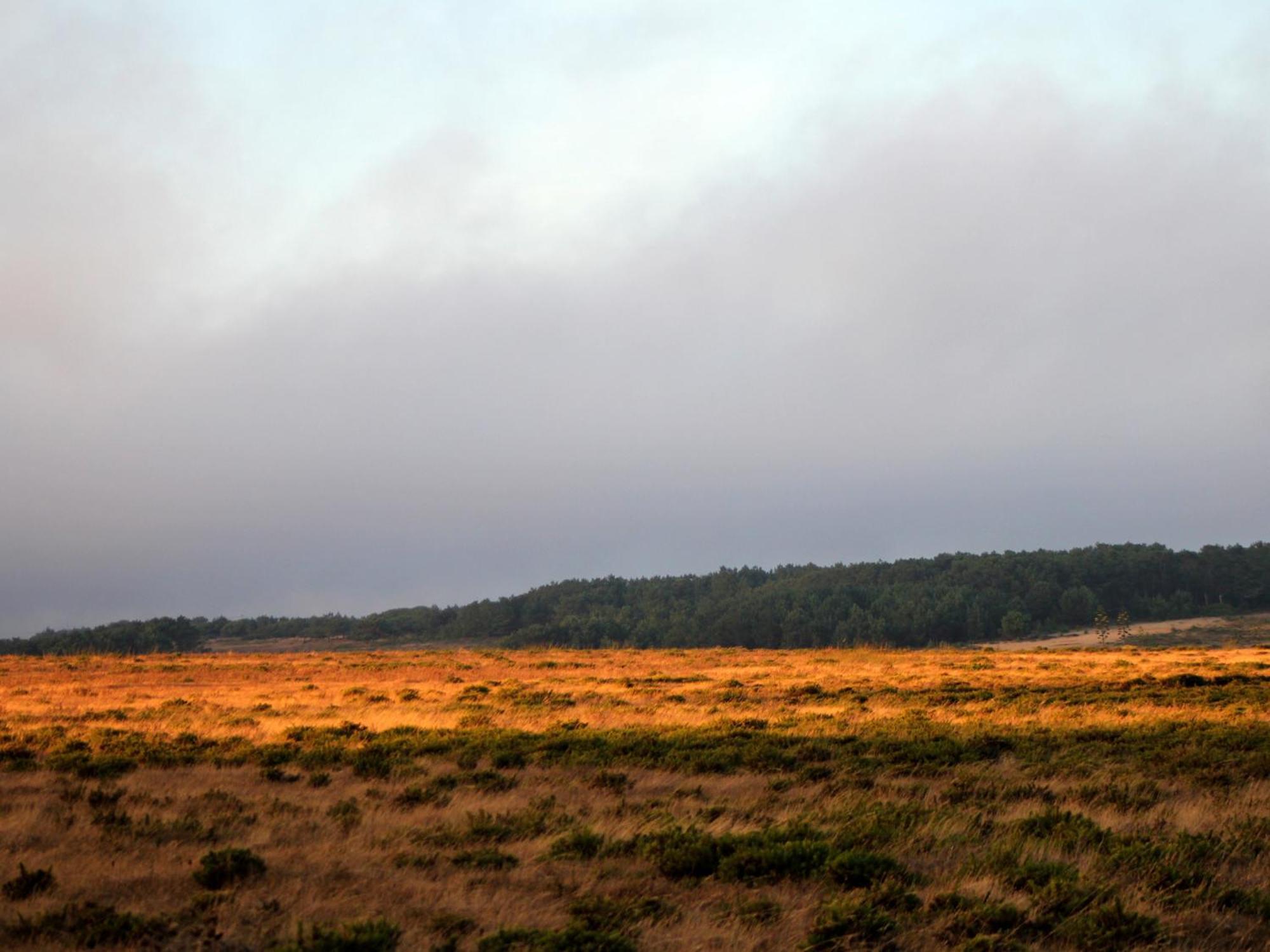 Monte De Santo Antonio - Turismo Rural Vila do Bispo Eksteriør billede