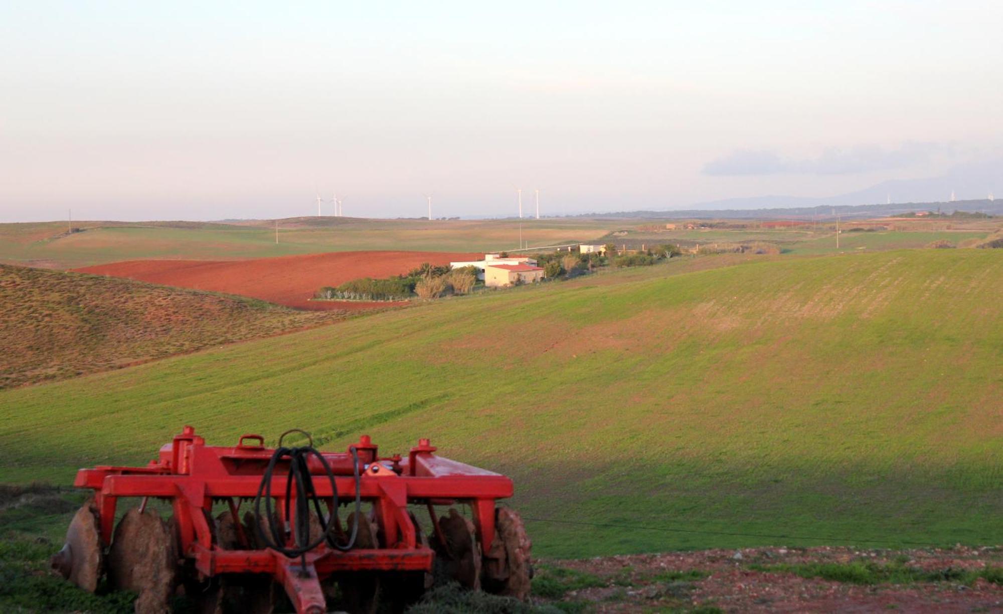 Monte De Santo Antonio - Turismo Rural Vila do Bispo Værelse billede